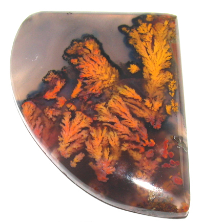 plume agate from Oregon