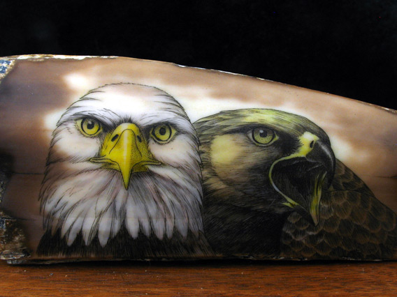 fossilized ivory scrimshaw