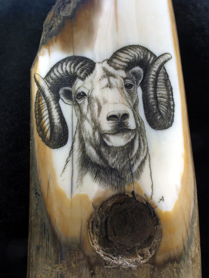 fossilized ivory scrimshaw