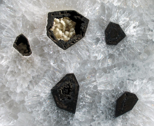 quartz geode slice with tourmaline crystals