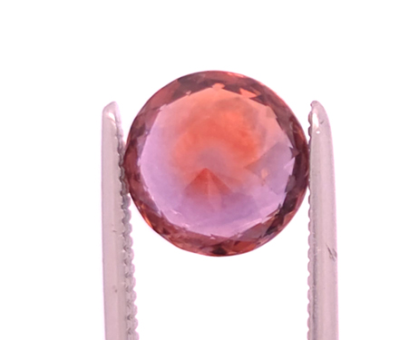 back of orange-red Montana Ruby
