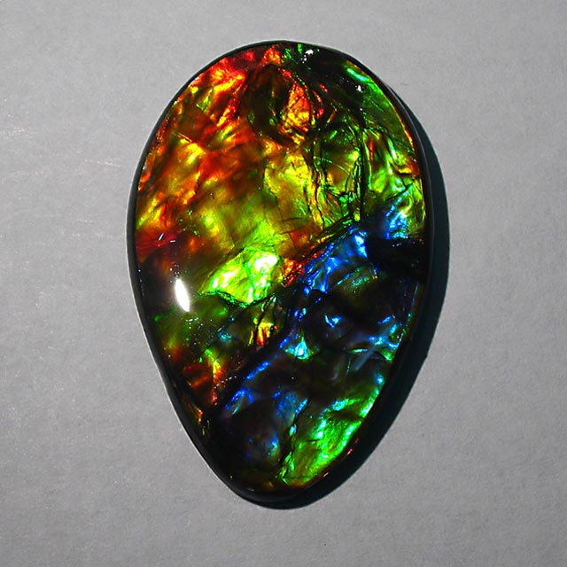 rare ammolite with blue flashes